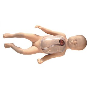 http://yuantech.de/114-174-thickbox/un-l67b-neonatal-peripheral-and-central-vein-intubation-model.jpg
