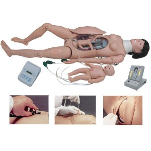 http://yuantech.de/156-217-thickbox/un-f55-delivery-and-maternal-and-neonatal-emergency-simulator.jpg