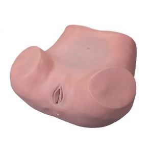 http://yuantech.de/161-222-thickbox/un-6-gynecological-training-simulator.jpg