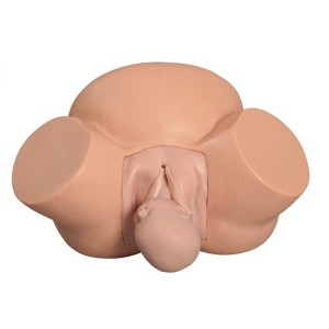 http://yuantech.de/163-224-thickbox/un-8-midwifery-training-simulator.jpg