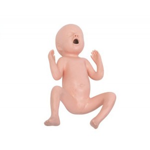 http://yuantech.de/176-237-thickbox/un-t331a-twenty-four-weeks-premature-infant-model.jpg