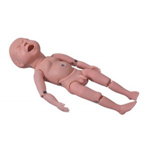 http://yuantech.de/179-240-thickbox/un-y2-newborn-baby-model.jpg