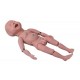 UN/Y2 Newborn Baby Model