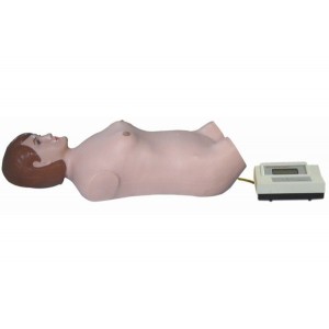 http://yuantech.de/211-272-thickbox/un-fb-digital-remote-controlled-cardiopulmonary-auscultation-manikinmale-or-female.jpg