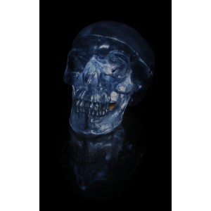 http://yuantech.de/239-552-thickbox/ya-l011g-human-clear-skull-model.jpg