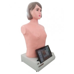http://yuantech.de/626-898-thickbox/un-xfm-adult-palpation-and-ausculation-manikin-with-pad.jpg