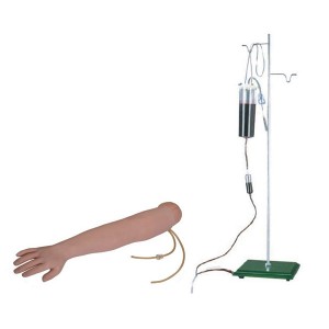 http://yuantech.de/83-141-thickbox/un-s1-arm-venipuncture-intramuscular-injection-training-model.jpg